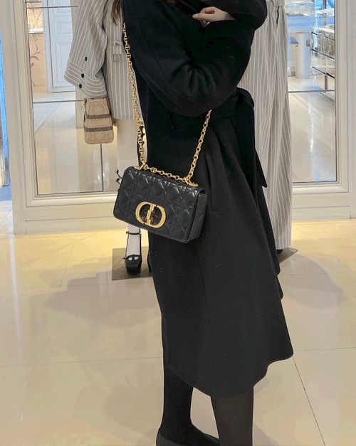 CHRISTIAN DIOR Caro Bag | 迪奧 Caro手袋 (小碼/多色)